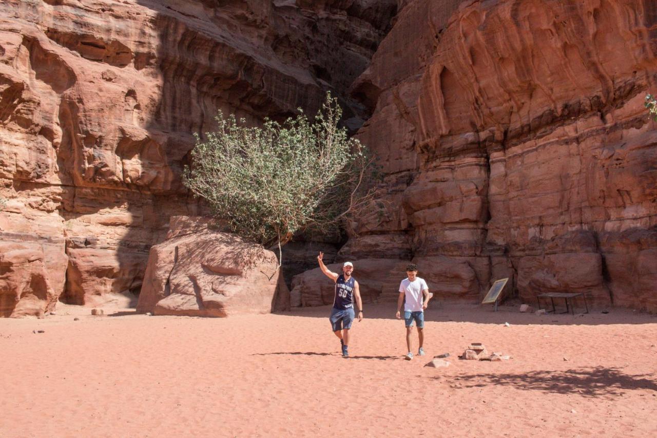 Bedouins Life Camp Ξενοδοχείο Άκαμπα Εξωτερικό φωτογραφία