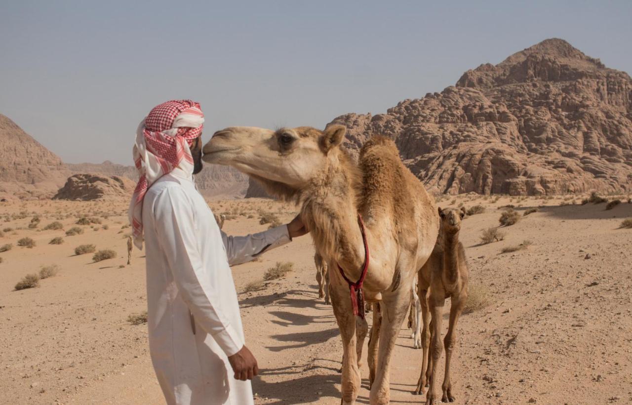 Bedouins Life Camp Ξενοδοχείο Άκαμπα Εξωτερικό φωτογραφία