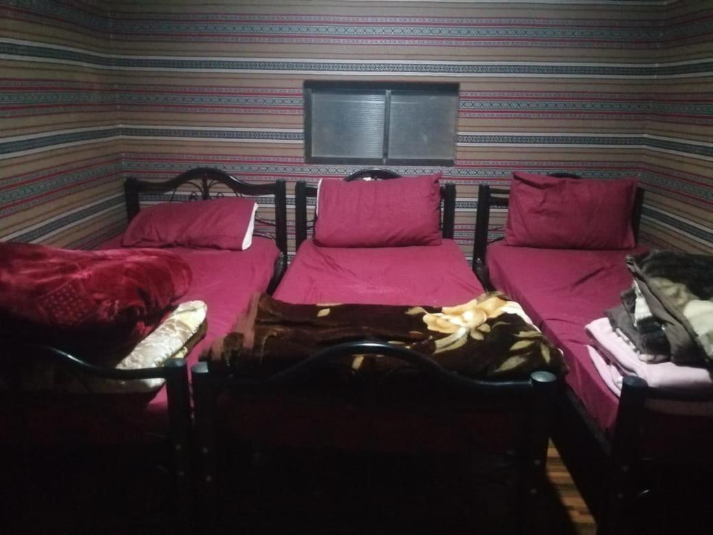 Bedouins Life Camp Ξενοδοχείο Άκαμπα Εξωτερικό φωτογραφία