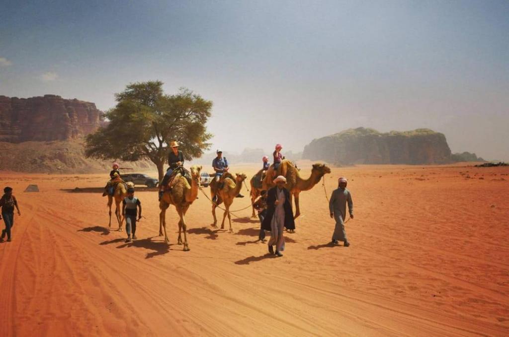 Bedouins Life Camp Ξενοδοχείο Άκαμπα Εξωτερικό φωτογραφία